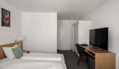 Habitación clásica doble, vistas al jardín