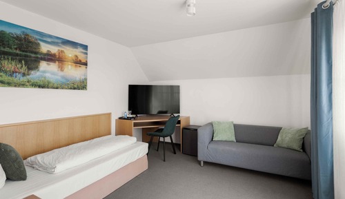 Habitación individual clásica