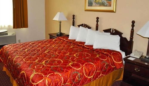 Habitación, 1 cama de matrimonio grande