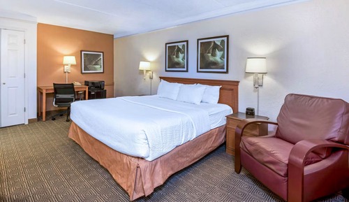 Suite estudio de lujo, 1 cama de matrimonio grande, no fumadores