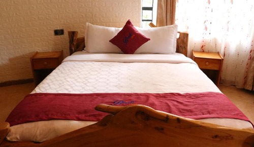 Standard Single Room, Garden View