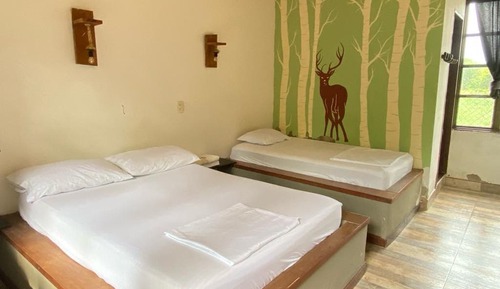Habitación doble, baño privado
