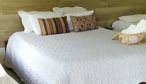 Habitación cuádruple básica