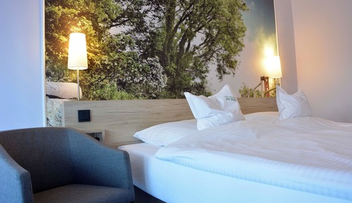 Habitación Confort con 1 cama doble o 2 individuales