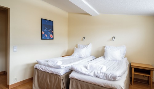 Habitación estándar con 2 camas individuales