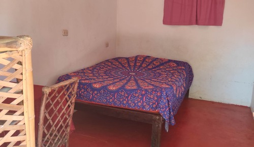 Economy Room, Patio, Garden View
