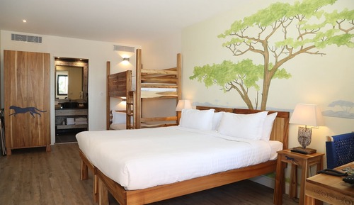 Habitación Confort