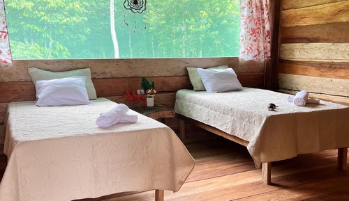 Habitación doble, vistas parciales al lago
