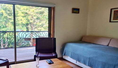 Casa, en la zona del jardín (Araucaria)