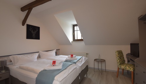 Habitación tradicional con 1 cama doble o 2 individuales