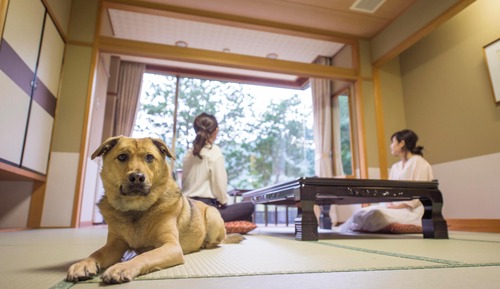 Habitación de estilo japonés, no fumadores (With Private Dog Garden)