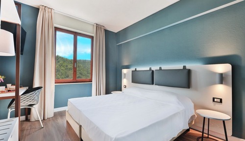 Habitación Premium con 1 cama doble o 2 individuales, vistas al jardín