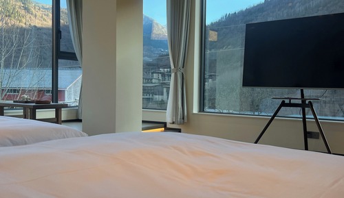 Habitación Deluxe con 2 camas individuales, vistas a la montaña