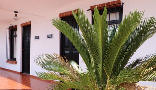 Habitación estándar con 1 cama doble o 2 individuales