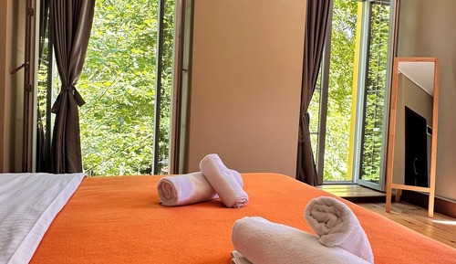 Habitación estándar con 1 cama doble o 2 individuales, vistas a la montaña