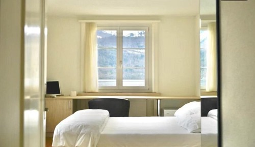 Habitación estándar doble, 1 cama doble, vistas al lago