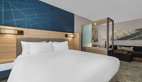 Suite, 1 cama de matrimonio grande con sofá cama