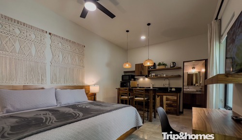 Comfort Standard Suite 6