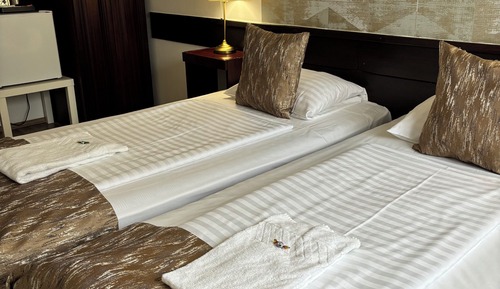 Superior Double or Twin Room, City View