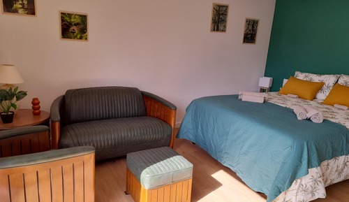 Habitación Business doble, 1 cama de matrimonio, terraza, planta baja