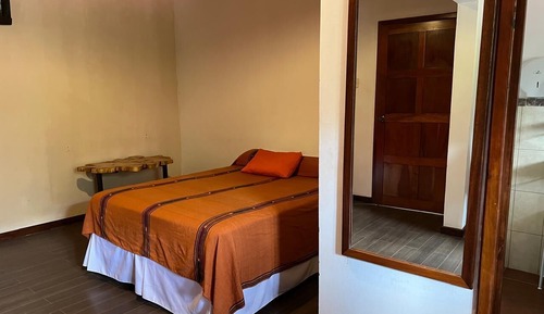 Habitación Deluxe doble, vistas al jardín