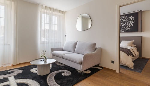 Suite Deluxe, accesible para personas con discapacidad, baño privado