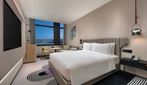 Habitación estándar, 1 cama de matrimonio grande (Airport View)