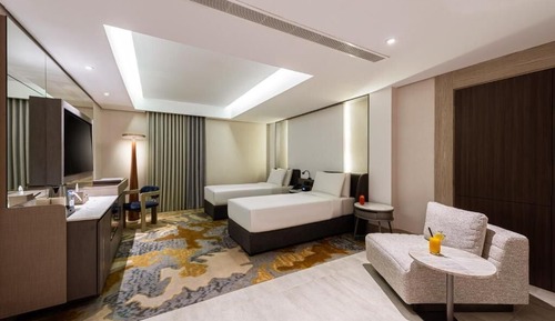 Habitación Deluxe con 2 camas individuales