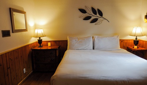 Cabaña junior, 1 habitación