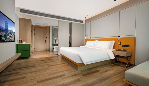Habitación ejecutiva con 1 cama doble o 2 individuales
