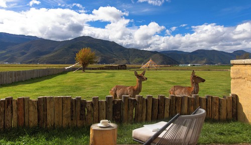 Suite superior, vistas a la colina