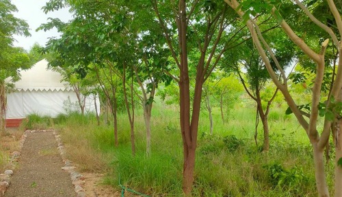 Casa de campo Deluxe, vistas al valle
