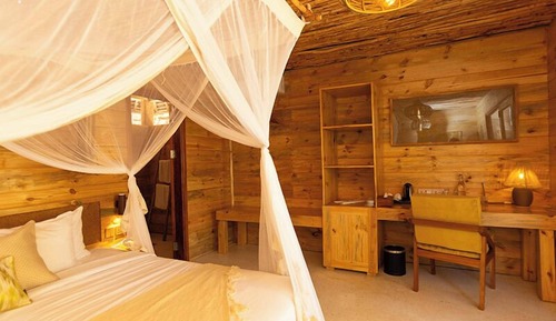 Habitación individual estándar, vistas al jardín