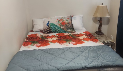 Habitación individual estándar