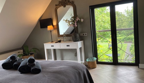 Habitación Deluxe, vistas al jardín