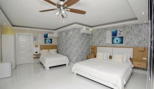 Habitación, No se admiten mascotas