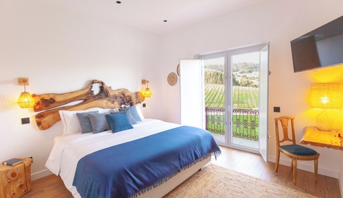 Habitación tradicional, vistas al viñedo