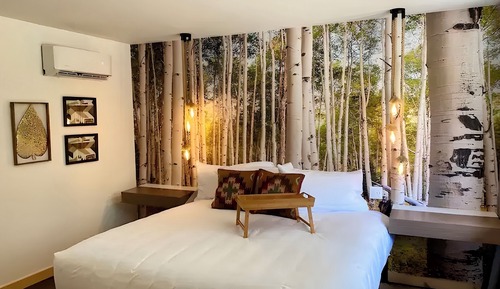 Habitación, 1 cama de matrimonio grande