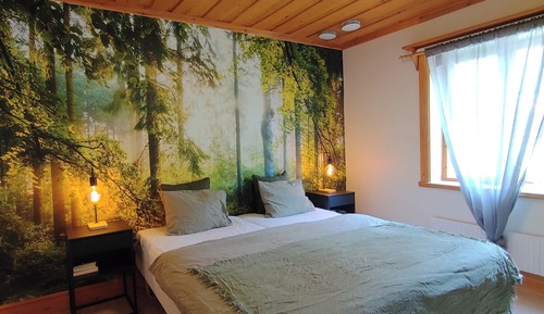 Habitación básica doble