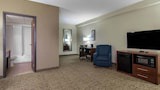 Standard Room, 1 King Bed, Bathtub Grab Bars, Non Smoking
