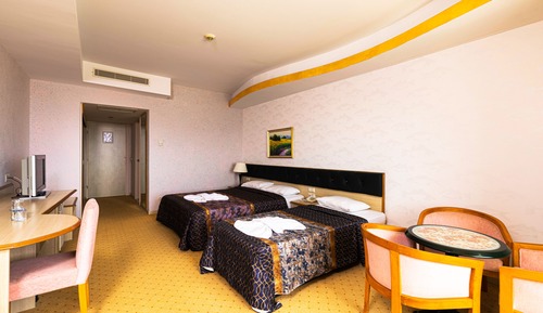 Standard Room, City View
