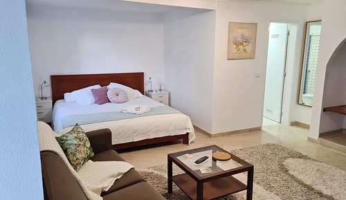 Suite estudio Deluxe, vistas al jardín