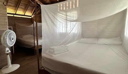 Habitación básica con 1 cama doble o 2 individuales, balcón, vistas a la playa