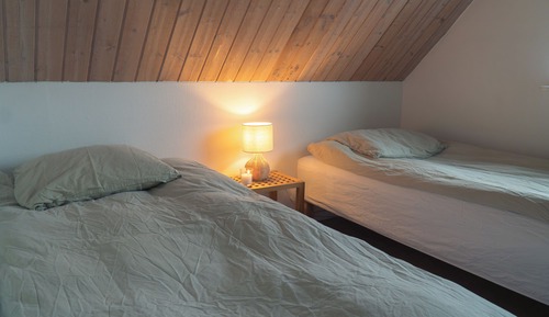 Habitación básica con 2 camas individuales, vistas a la ciudad