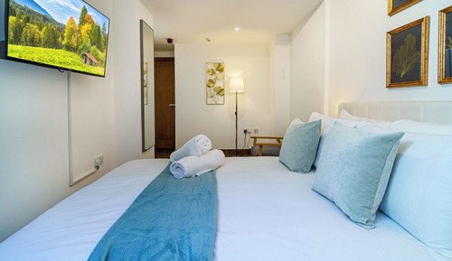 Habitación Confort doble, patio, vistas al jardín