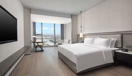 Suite Deluxe, 1 cama de matrimonio grande, no fumadores
