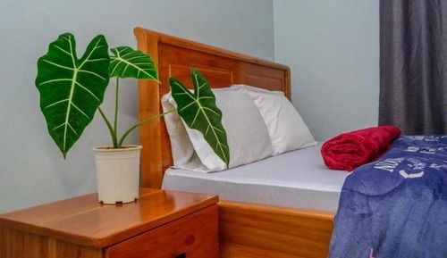 Habitación básica con 1 cama doble o 2 individuales