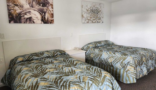 Habitación estándar, 2 camas dobles