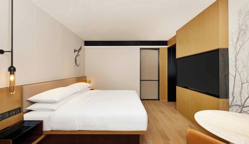 Suite, 1 cama de matrimonio grande, vistas a la ciudad