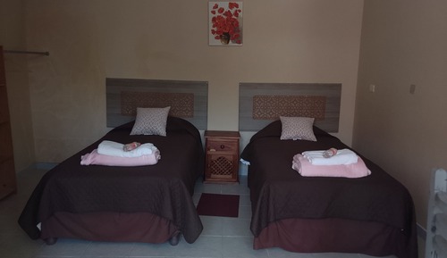 Habitación básica con 2 camas individuales, vistas al jardín